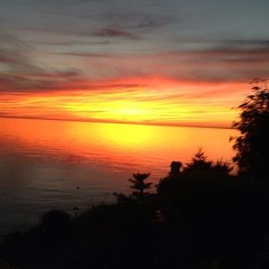 Meet your Posher, Rosalie